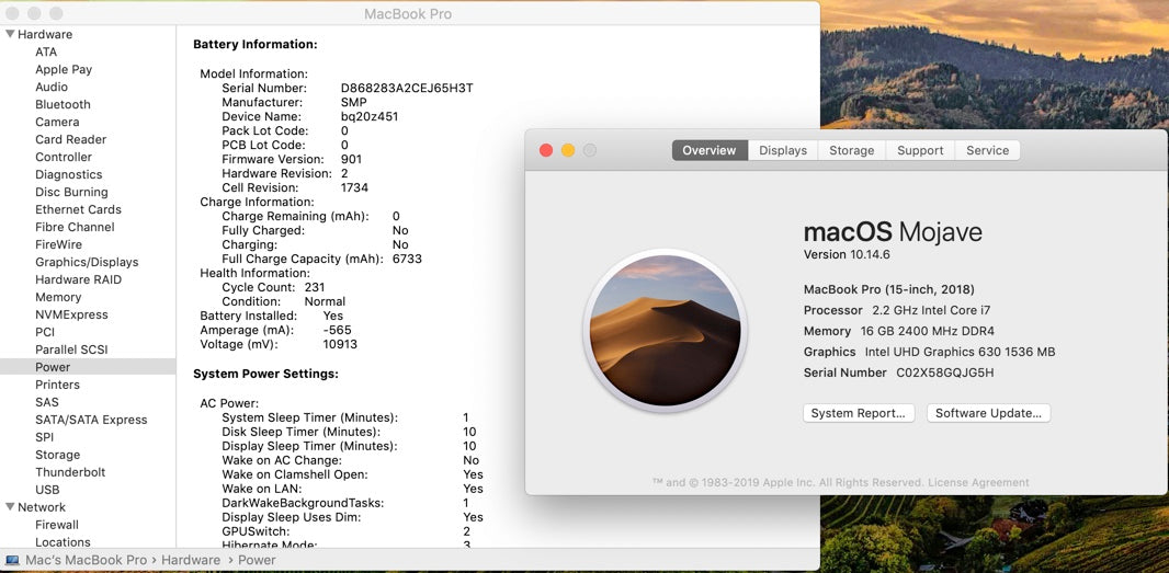 Apple 2018 15 in MacBook Pro TB 2.2GHz 6-Core i7 16GB RAM 256GB SSD RP555X 4GB