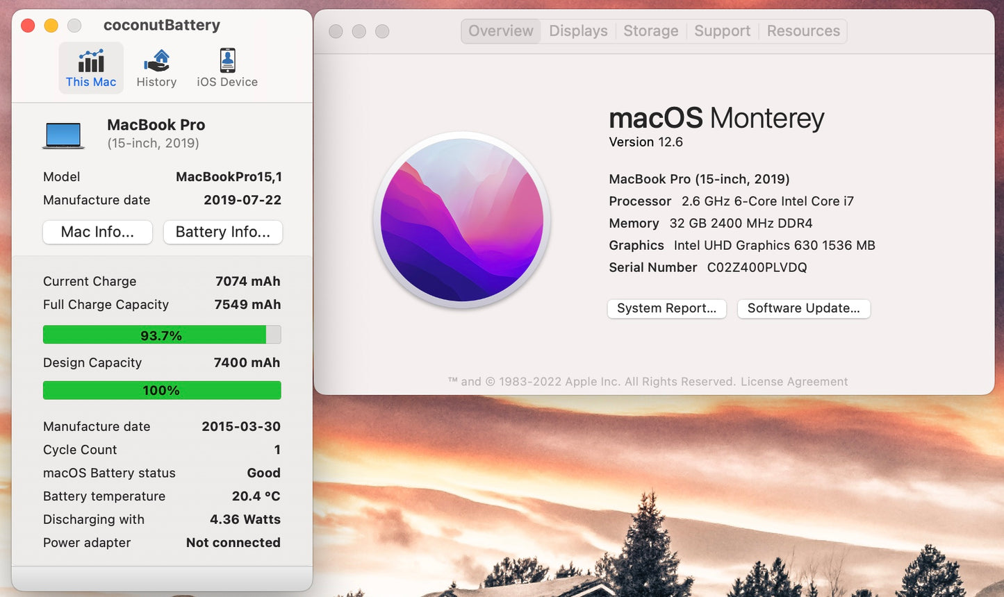 Apple 2019 15 in MacBook Pro TB 2.6GHz 6-Core i7 32GB RAM 512GB SSD RP555X 4GB