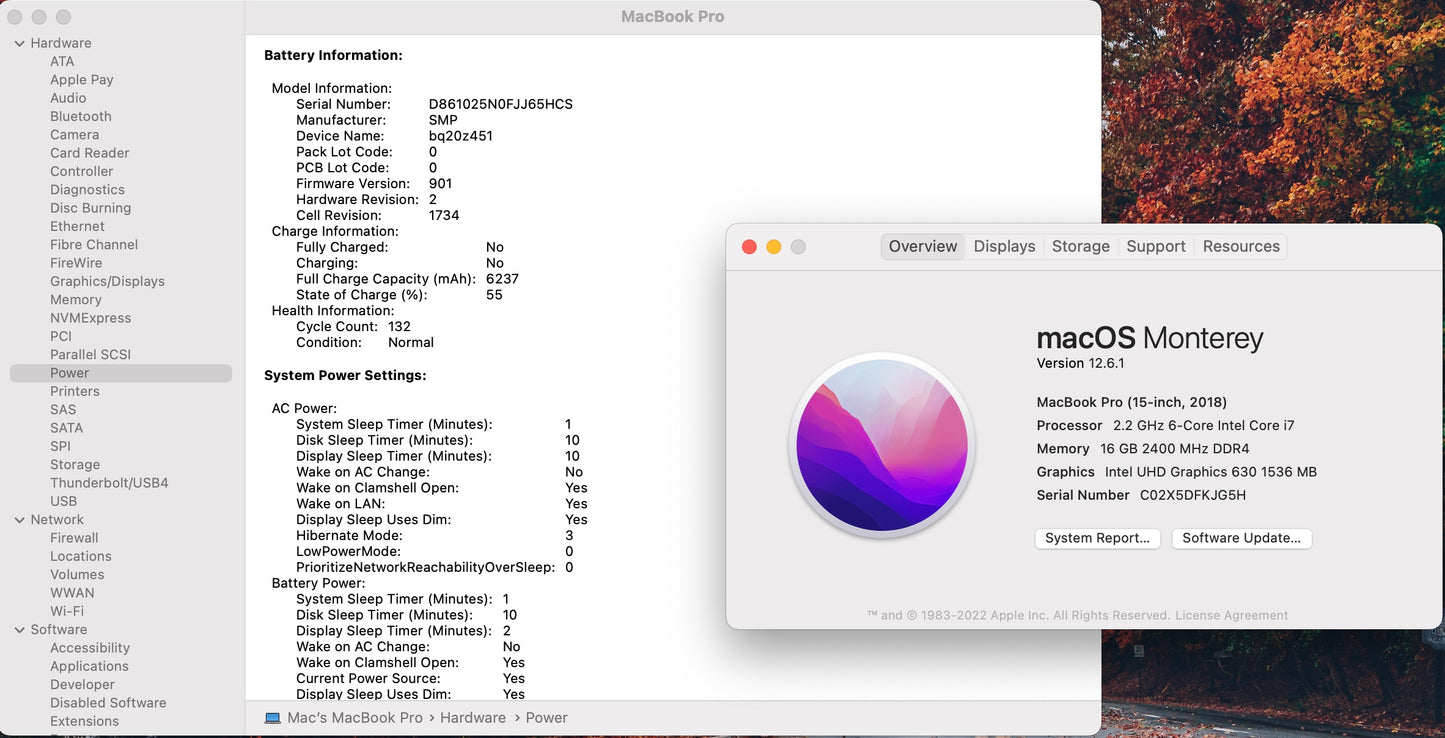 Apple 2018 15 in MacBook Pro TB 2.2GHz 6-Core i7 16GB RAM 256GB SSD RP555X 4GB