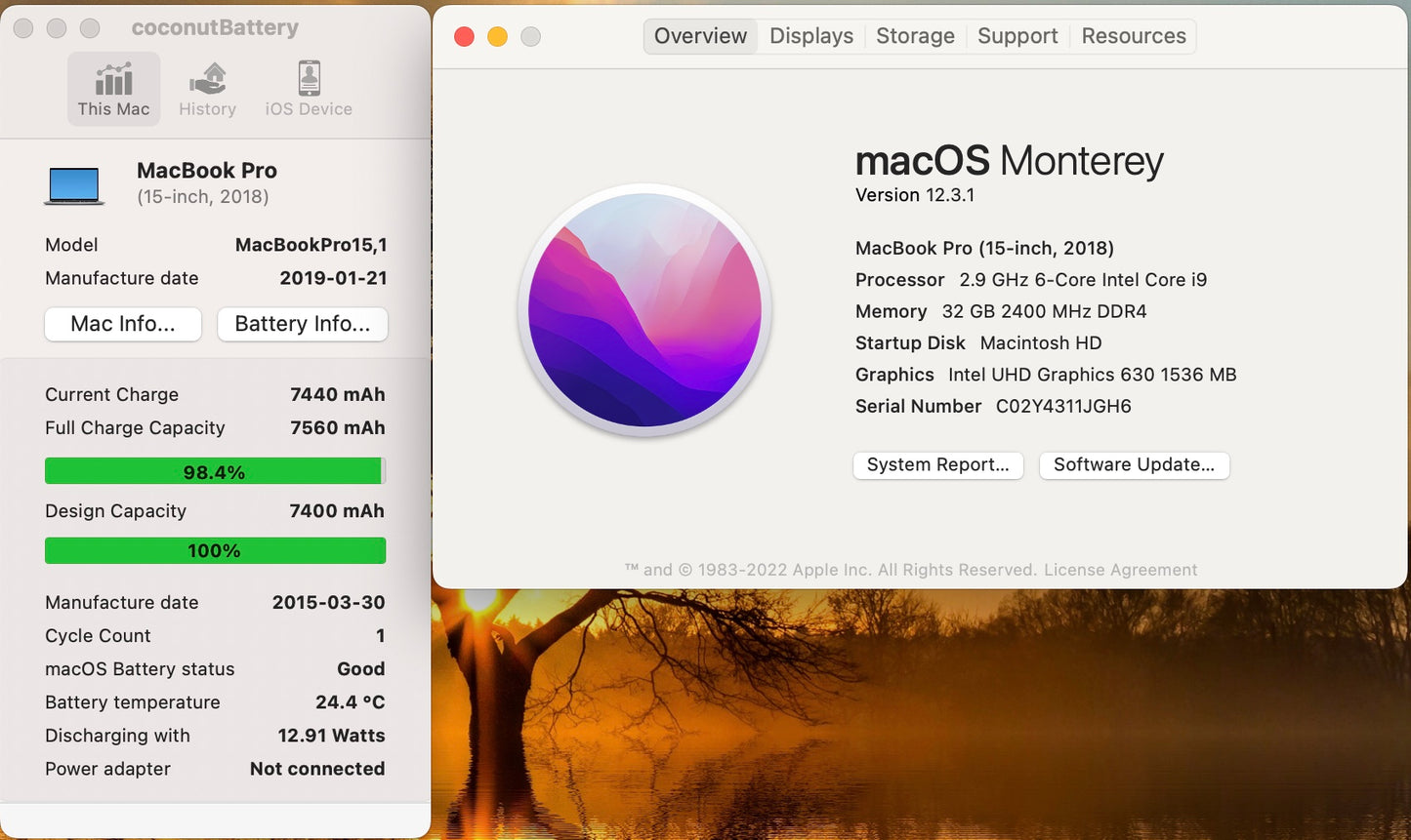 Apple 2018 15 in MacBook Pro TB 2.9GHz 6-Core i9 32GB RAM 1TB SSD RP560X 4GB