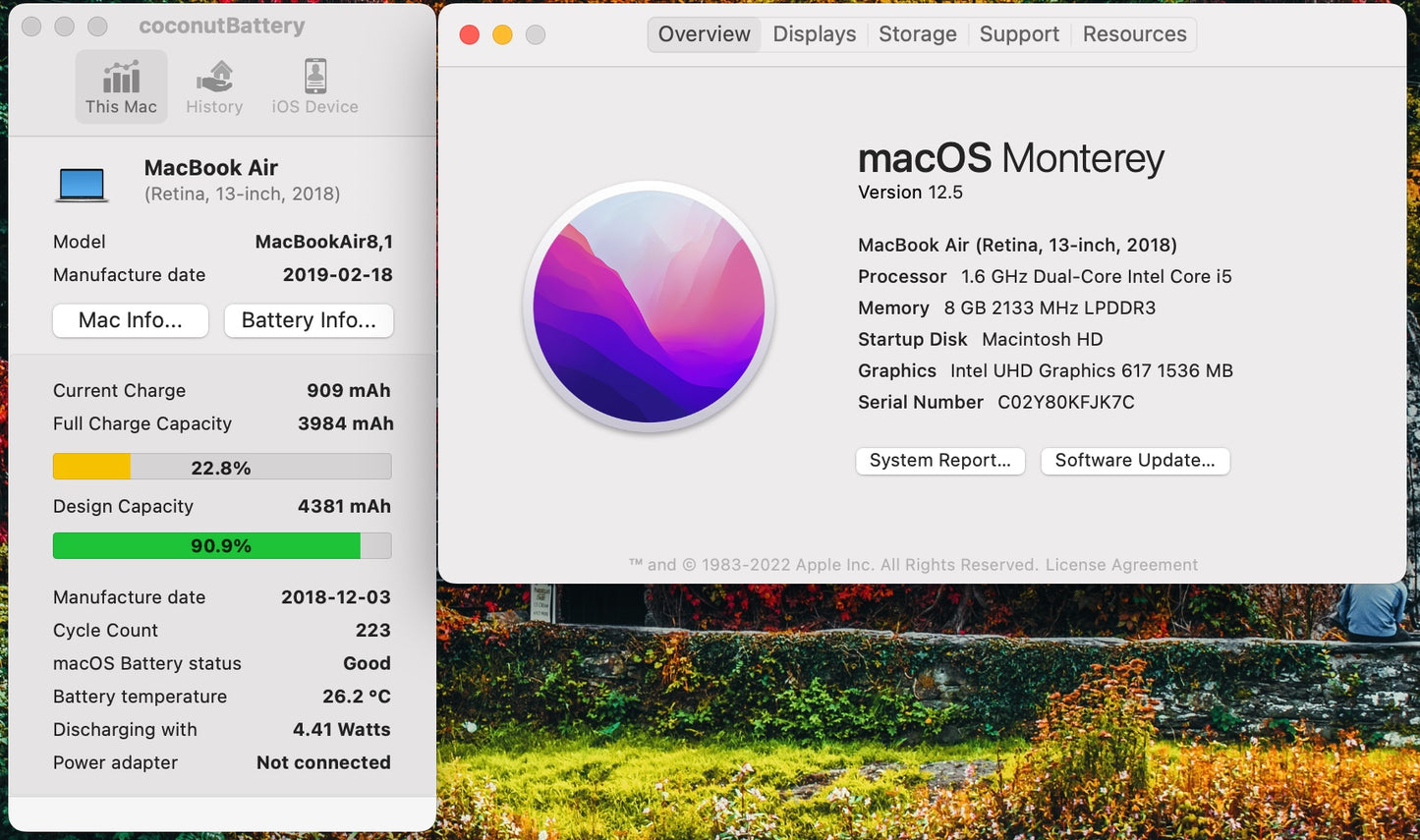 Apple 2018 13 in MacBook Air 1.6GHz Dual-Core i5 8GB RAM 128GB SSD IUG617