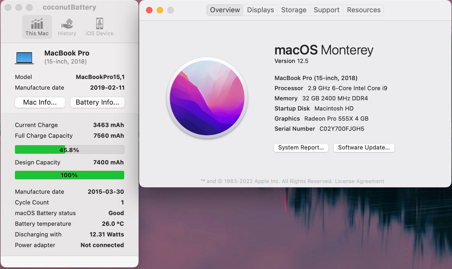 Apple 2018 15 in MacBook Pro TB 2.9GHz 6-Core i9 32GB RAM 256GB SSD RP555X 4GB